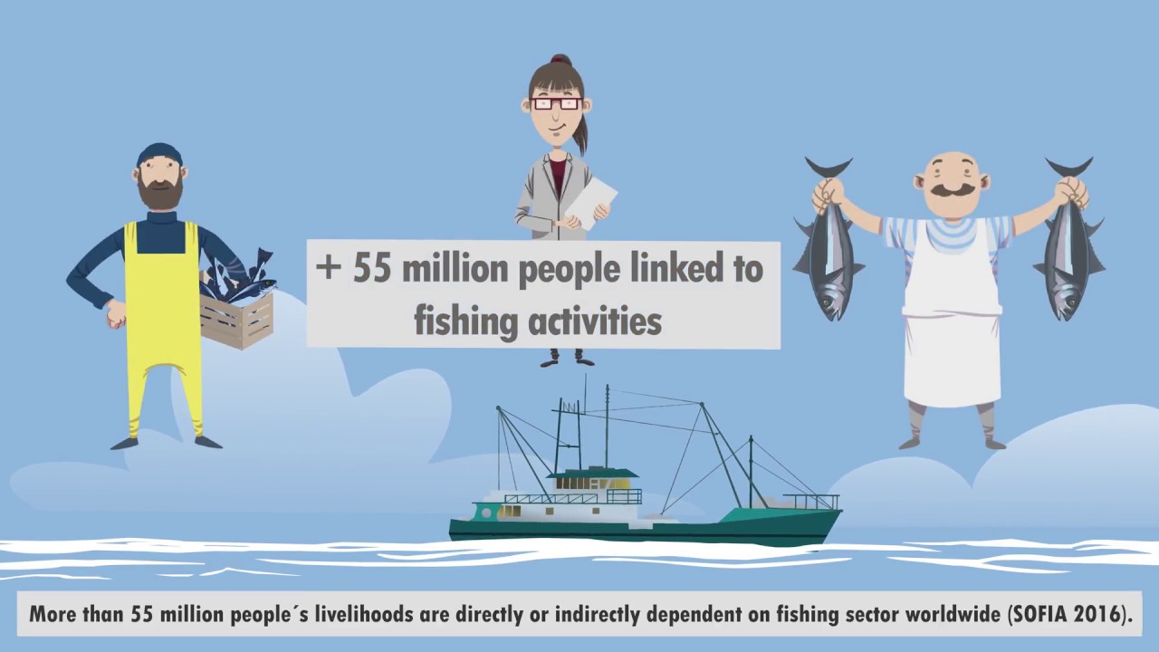 Promoting better Ocean Governance and Sustainable Fisheries