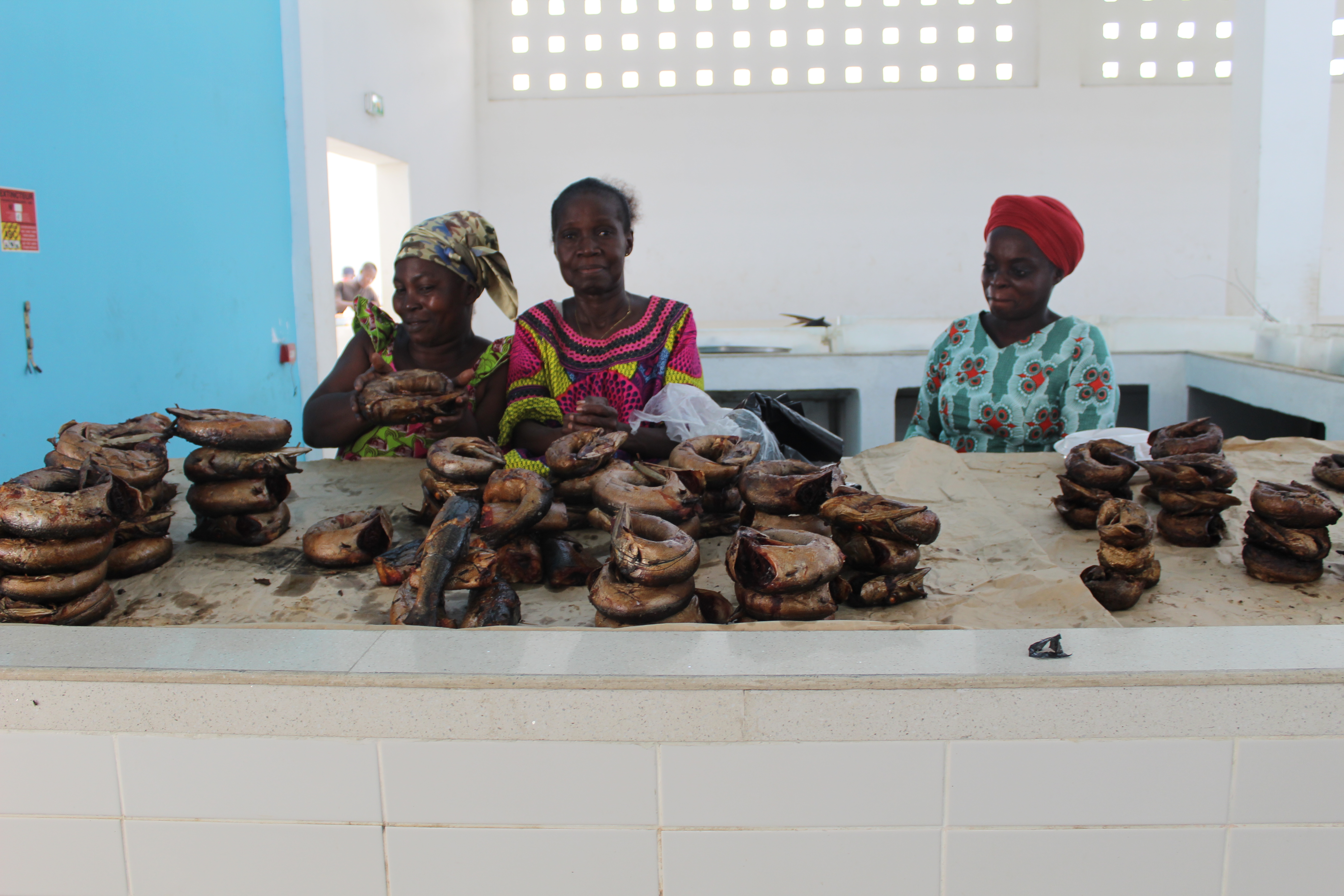 Operadores pesqueros europeos y ONGs unen fuerzas con pescadores artesanales de África para abordar y mejorar el papel de la mujer en la pesca 